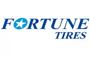Fortune Fortune