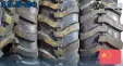 Шина пневматическая 19.5L-24 10PR TopTrust R4