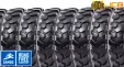 Шинокомплект 10.00-20 16PR Solideal WEX
